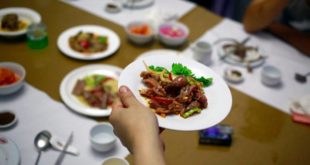 Norcoreanos comen carne de perro para combatir el calor