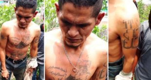 Caen tres miembros de la pandilla 18 en Tegucigalpa