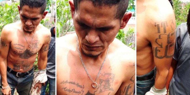 Caen tres miembros de la pandilla 18 en Tegucigalpa