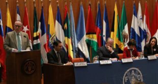 Brasil y la FAO crearán nuevo proyecto de cooperación internacional