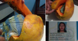 Cae mujer por intentar ingresar celular a la cárcel papaya