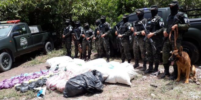 Decomisan más de 350 libras de marihuana en Tegucigalpa