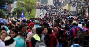 Articulan acciones para que se respeten DDHH de migrantes hondureños