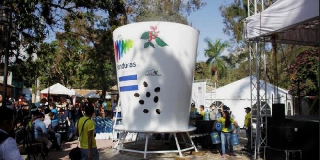 Honduras logra doble récords Guinness con el café