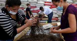 Honduras busca doble récord Guinness con sabor a café