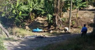 Masacre: Tres hombres asesinados con machete en Copán