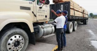 Transporte calibra basculas para pesaje de furgones