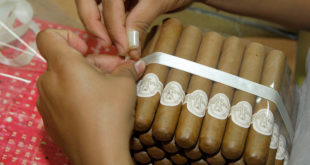 Puros hondureños ganan premio internacional Cigarro del Año