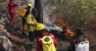 Más 150 hombres buscan apagar incendio El Hatillo El Carpintero