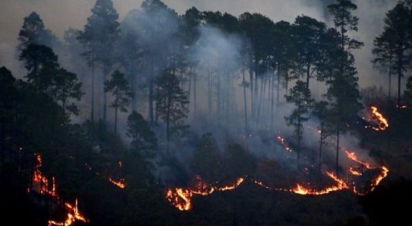 Incendios forestales aumentarán por ola de calor