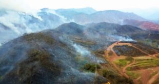 Fiscalía del Ambiente investiga ola de incendios forestales en Honduras