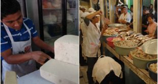 Lácteos y mariscos van en incremento en Honduras