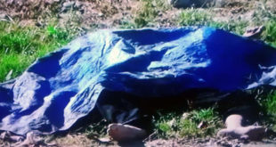 Masacre: Asesinan a cuatro personas en La Ceiba, Atlántida