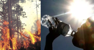 Incendios forestales y también las altas temperaturas