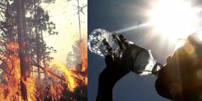 Incendios forestales y también las altas temperaturas