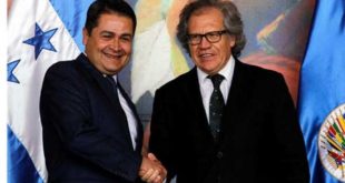 Pepe Lobo: Almagro y Hernández tienen un pacto de impunidad