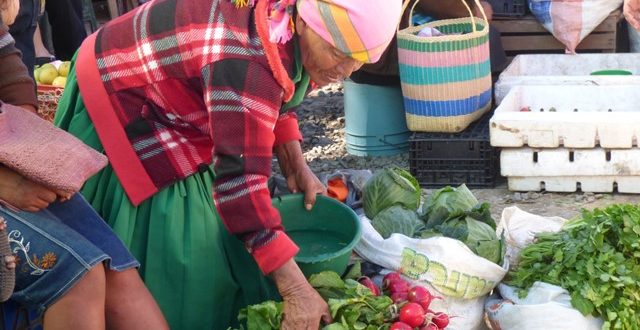 SAG inaugura Unidad de Agricultura Familiar