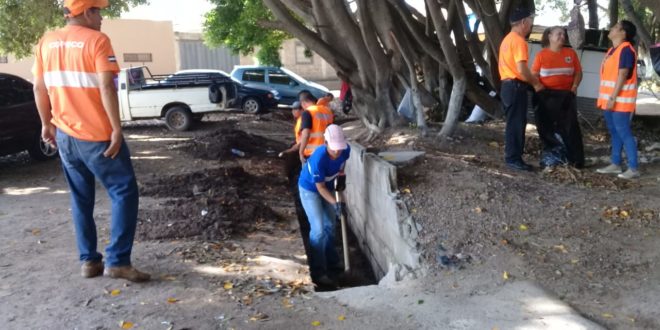 Unos 30 ciclones se formarán de junio a noviembre: Copeco