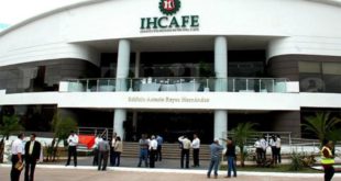 Cafetaleros eligen a Francisco Ordóñez como nuevo presidente del Ihcafé