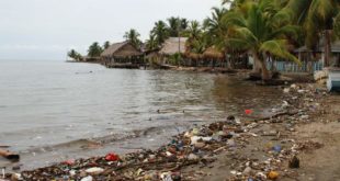 4Ocean interesada en apoyar limpieza de costas hondureñas
