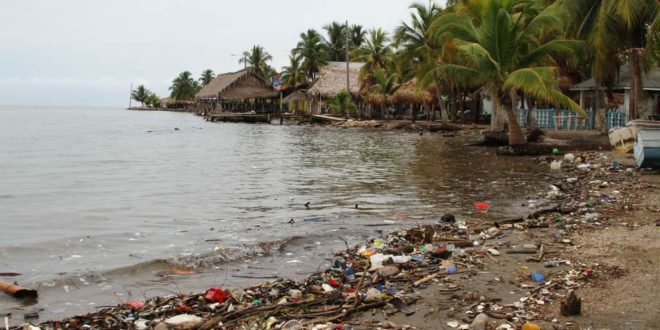 4Ocean interesada en apoyar limpieza de costas hondureñas