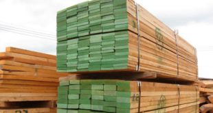 ICF anuncia política para venta legal de la madera en Honduras