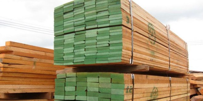 ICF anuncia política para venta legal de la madera en Honduras