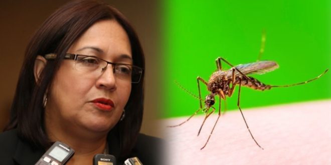 Actuales autoridades no tomaron previsiones para controlar el dengue