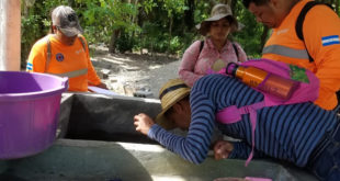 Salud pide a hondureños eliminar criaderos de zancudos