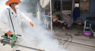OPS: Honduras, tercer país con mayor incidencia de dengue América