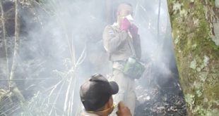 Incendio forestal provocó emanación de humo en montaña Pico Bonito