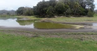 Se seca la Laguna de Ticamaya en Choloma