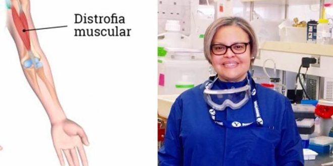 Hondureña trabaja en la cura contra la distrofia muscular