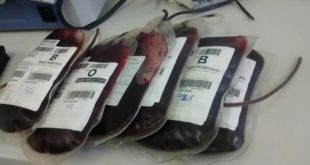 Cruz Roja busca captar unas 500 pintas de sangre en temporada navideña