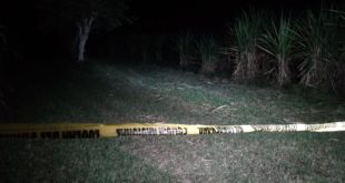 Masacre: Asesinan a cinco personas en San Manuel, Cortés