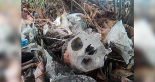 Hallan cráneo humano durante limpieza en la laguna de Alvarado, Puerto Cortés