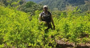 Policía desmantela narcolaboratorio en la zona norte de Honduras