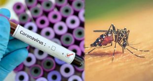 Monserrat Arita: Salud debe estar alerta para prevenir contagios de COVID-19, dengue y otras enfermedades