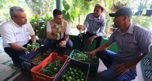 Gobierno hondureño mantiene en funcionando el sistema productivo