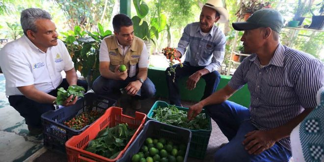 Gobierno hondureño mantiene en funcionando el sistema productivo