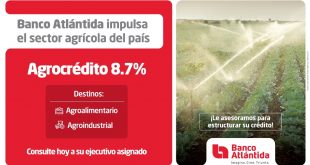 Banco Atlántida asiste al sector agrícola para acceder al programa Agrocrédito 8.7%