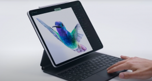 Apple inspira la nueva campaña del iPad Pro con el colibrí esmeralda de Honduras