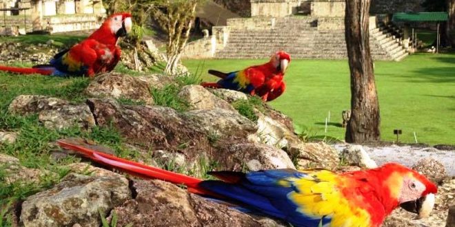 Parque Arqueológico de Copán abrirá al público este próximo jueves