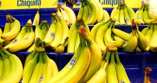 Chiquita Brands seguirá operando en Honduras