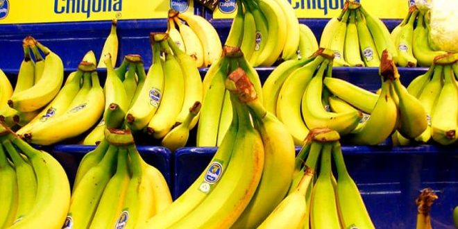 Chiquita Brands seguirá operando en Honduras