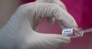 Científicos de UNAM trabajan en creación de vacuna contra el COVID-19