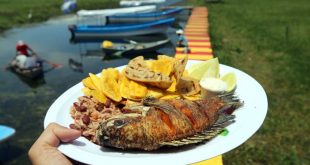 Restaurantes del Lago de Yojoa reabren sus puertas a viajeros