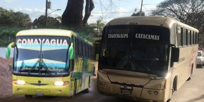 Transporte interurbano de Olancho y Comayagua iniciará pilotaje a partir del lunes