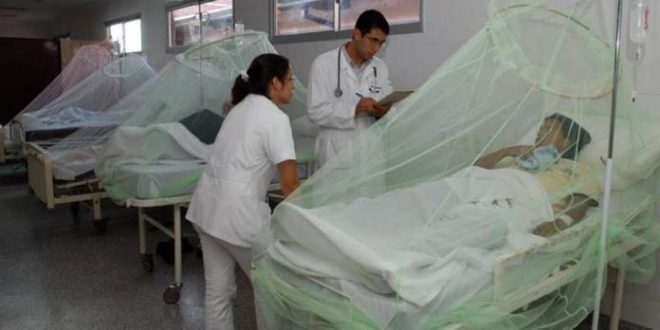 Monserrat Arita: Salud debe estar alerta para prevenir contagios de COVID-19, dengue y otras enfermedades