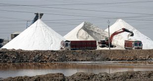 Productores de sal reportan 1.3 millones de quintales en el año